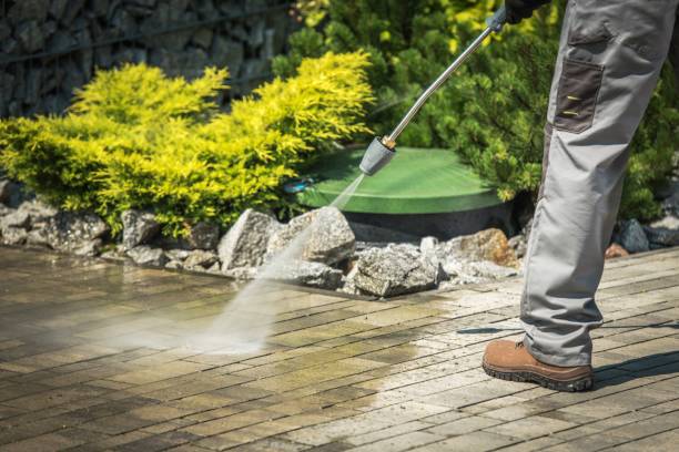 Best Factory Floor Cleaning  in Moapa Valley, NV